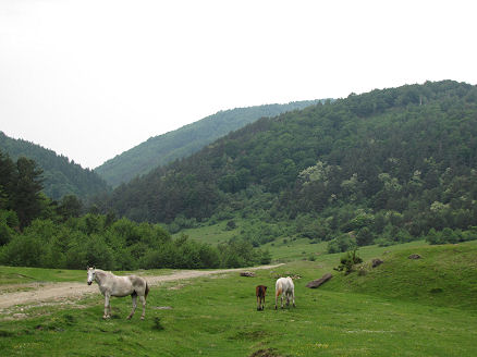 An afternoon walk in the hills around Talmacel
