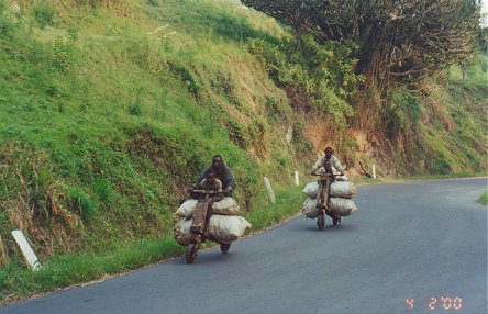 Serious all wooden scooters, carry produce downhill to the ferry