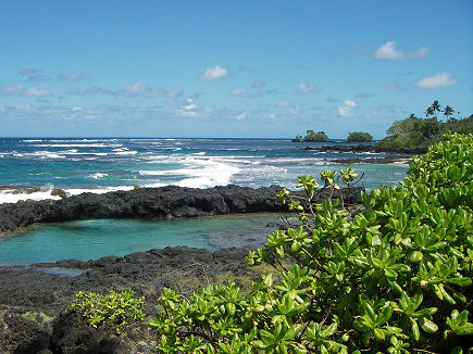 Rugged lava coastline of 'Upolu Island