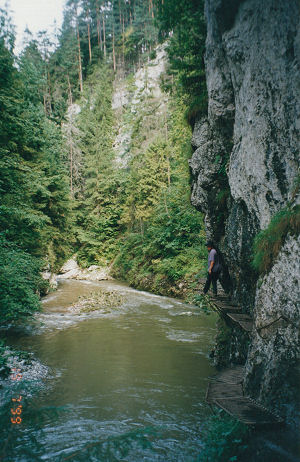 Following a narrow raised walkway alongside the river