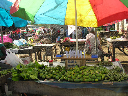 Betel nut, used as a mild stimulant by a large part of the population