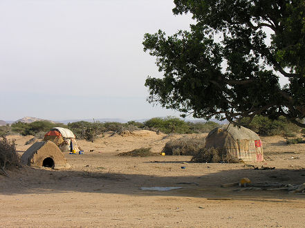 Small transportable huts of sticks, brush and cloth covering