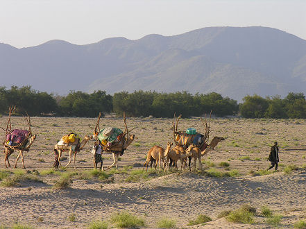 Nomadic people moving house