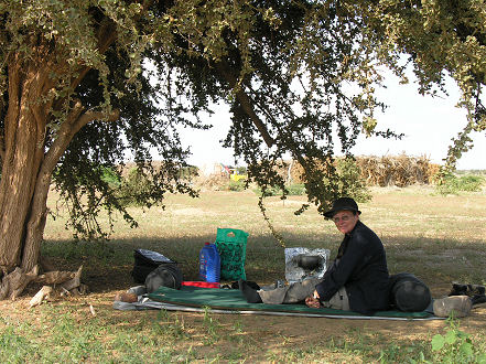 Resting under a tree waiting for a truck to pass