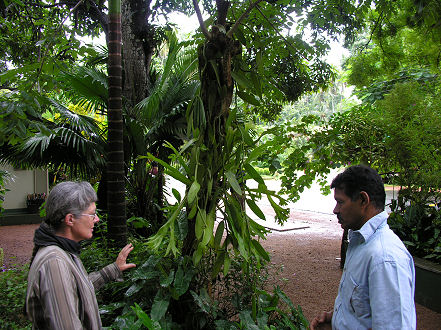 Visiting a spice garden near Kandy