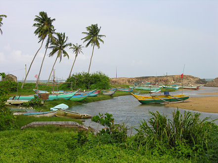 Fishing boats shelter in a coastal lagoon