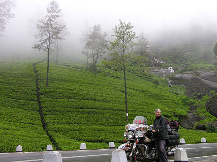 Early morning mist in the tea plantations near Nuwara Eliya