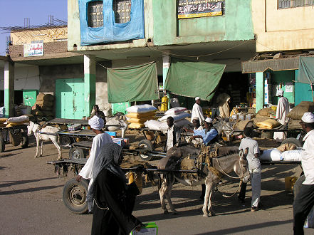 Donkeys wait for a load of merchandise to carry in Gadaref