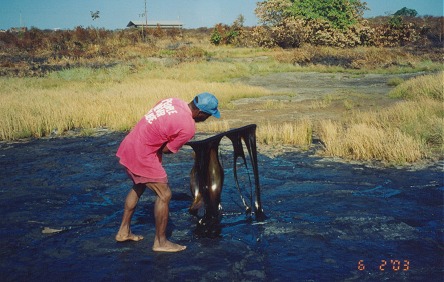 Tar pit bog, covers 40 hectares