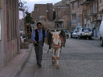 The only goods transport in the narrow Mardin streets