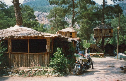 Tree house accommodation