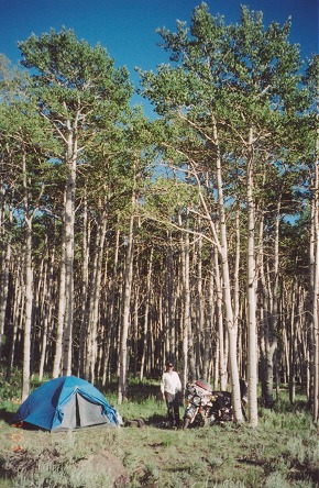 Free camped, allowed anywhere in national forests