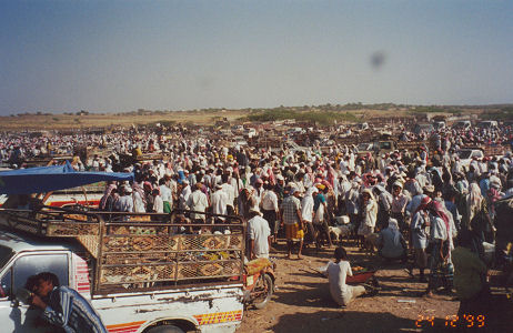 Bait al Fakih markets, mostly animal sales