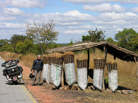 The rural money earner, bags of charcoal, descimates the trees