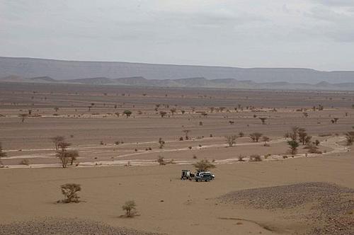 Morocco October 2008 report-zagora-camp.jpg