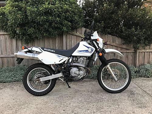 2013 Suzuki DR650 - ,250AUD - Location: Ballarat, Australia-278719361_4951017661690884_6604296561261865966_n.jpg