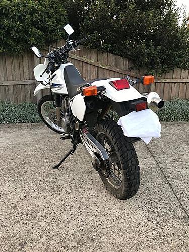 2013 Suzuki DR650 - ,250AUD - Location: Ballarat, Australia-278736346_5212548065472515_5802044387824899690_n.jpg