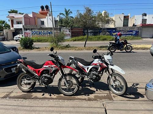 Two 2022 Honda XR190L bikes for sale in Panama or Mexico; first half feb 2023-14f556c6-f640-44f3-be5f-ff524a08ea6a.jpg