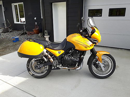 Triumph Tiger , Yukon Canada for sale-triumph-tiger-99.jpg