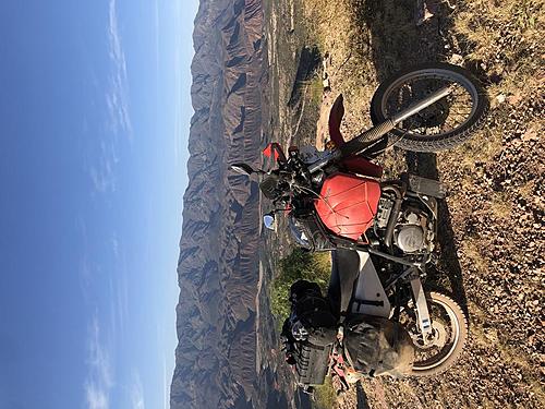 For Sale: California Plated Honda XR650L - Perú / mid-June-96a07e9d-5db9-4f79-a5e3-e622dbdc69f7.jpg