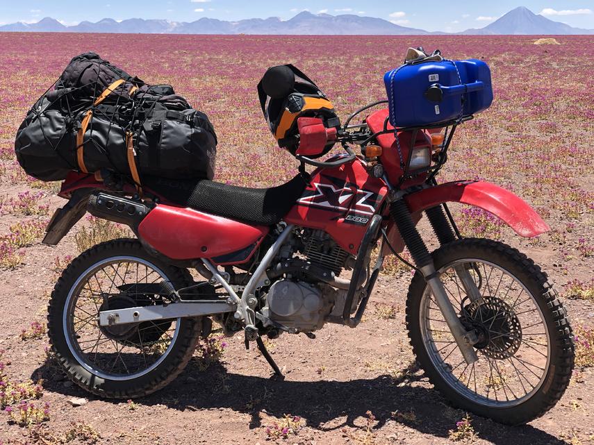 Honda xl200 discount for sale