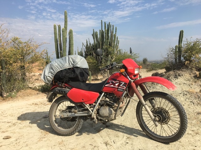 Xl bikes for sale near 2025 me