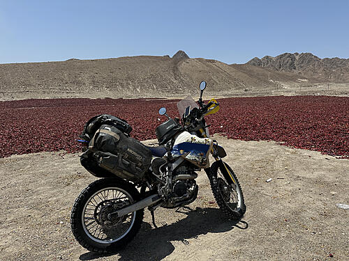 Click image for larger version

Name:	IMG_3782-*.jpg
Views:	20
Size:	149.0 KB
ID:	28965
