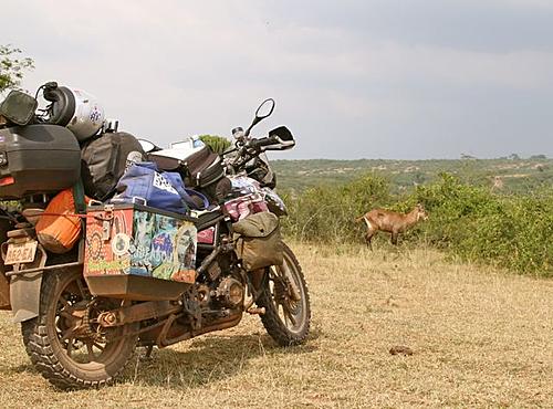 Aluminium panniers,best ones,opinions please-admoto.jpg