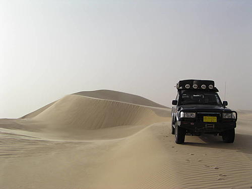 Which Landcruiser ?-p1010157.jpg