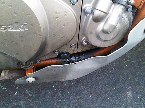 KLE oil leak-oil-leak.jpg