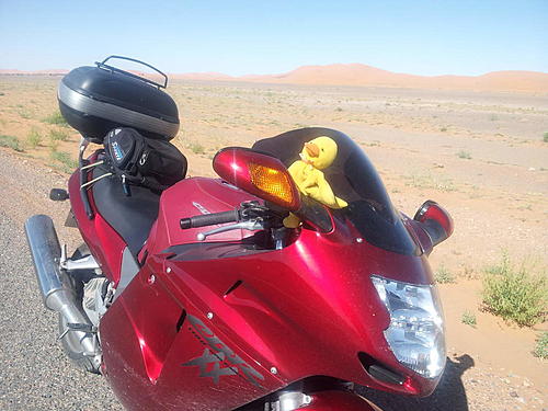 I left my yellow duck at  top of tizi n test-uploadfromtaptalk1429212596656.jpg