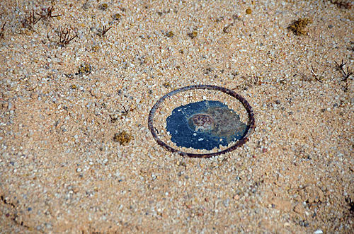 Is This A Land Mine?-_dsc1325_edited-1.jpg