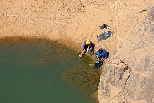 Drinking water-img_5685.jpg