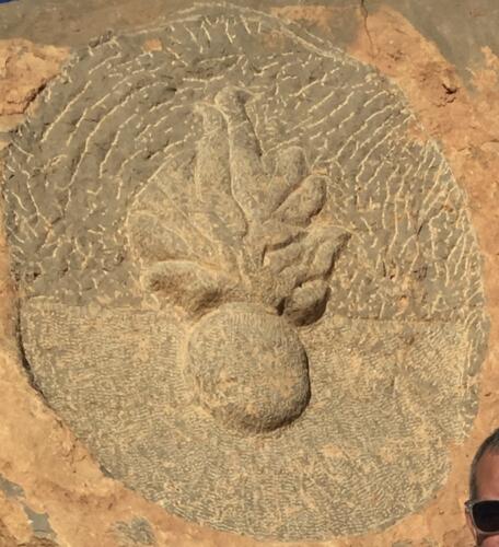 Traces of the French Foreign Legion in Morocco-screenshot-2024-01-20-10.43.34.jpg