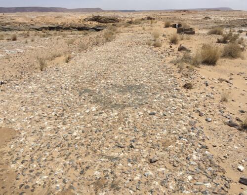 Traces of the French Foreign Legion in Morocco-screenshot-2024-01-20-20.34.21.jpg