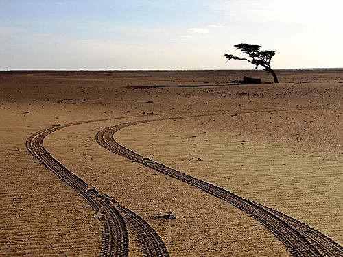 Western Sahara for beginners-zah_sahara-iztok-november08-39-.jpg