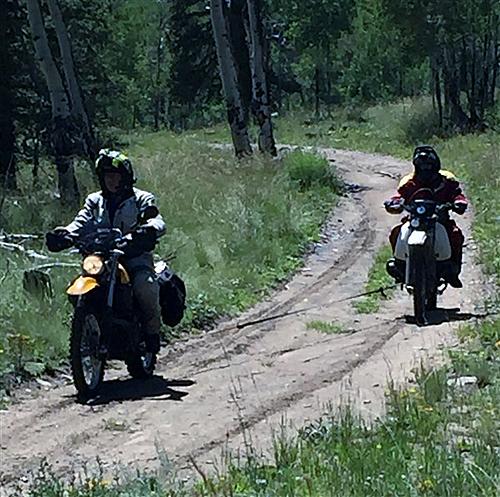 Adventure Motorcycle Carnage And Big Dogs Laughing - 2017-bd-8-600-x-596