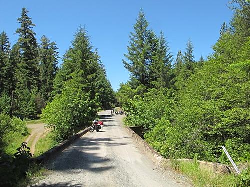 The Clancy Centenary Ride 2012-2013-cow-creek.jpg