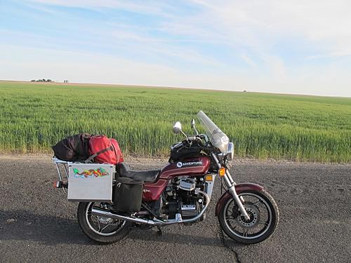 The Clancy Centenary Ride 2012-2013-wheat-oh-wheat.jpg