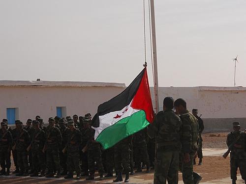 Quick trip report: Western Sahara Libre (Polisario side) and NW Mauri-nkc-tft-feb-2012-155