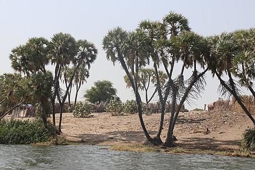 Tibesti / Chad-lake-chad-shore.jpg