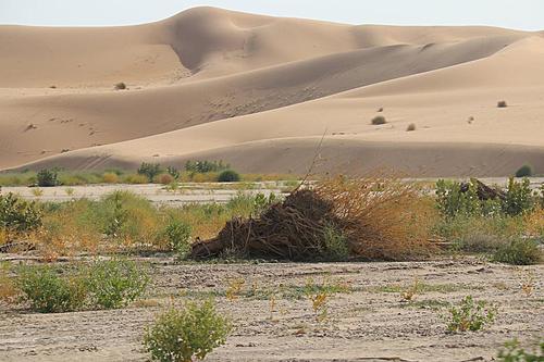 Tibesti / Chad-dunes-over-a-wadi.jpg