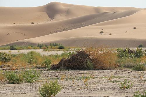 Tibesti / Chad-dunes-over-a-wadi.jpg