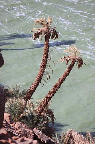 Tibesti / Chad-ounianga-2.jpg