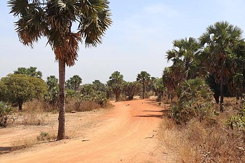 Tibesti / Chad-road-towards-car.jpg