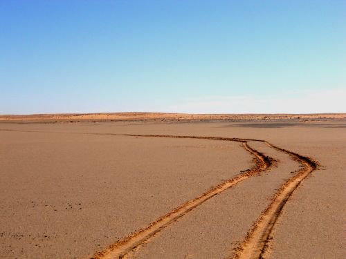 Name:  the far north.jpg
Views: 392
Size:  62.5 KB