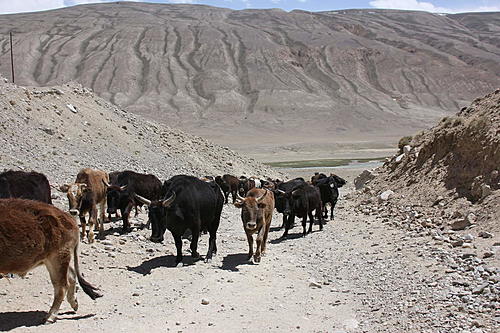 Pamir Highway: Shortcut Kara Kul-Rushan possible?-img_1855.jpg