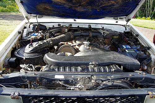 1988 Toyota Land Cruiser BJ75 Station-Wagon with Camper Box on Chassis-kmhh8242.jpg
