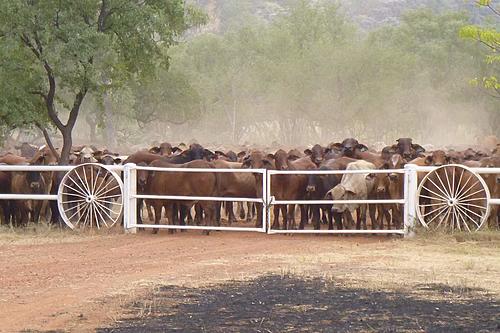 Brisbane to Broome - 9000kms in three weeks-events-5618.jpg