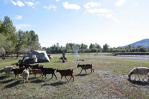 Mongolia: offroad adventure heaven-it-camp.jpg